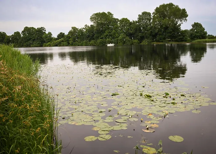 - Eiderlodge 1 Suderstapel